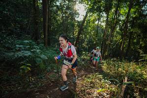 BIB: 2266
                            <button type="button" onclick="openModal(22542410)" class="btn btn-primary btn-sm float-right btn-popup" data-toggle="modal" data-target=".modal-high-quality">
                        <i class="fas fa-shopping-cart"></i> Add to Cart
                    </button>
                                            <button type="button" onclick="isThisMe(22542410, true)" class="btn btn-success btn-sm float-right btn-popup btn-isme hidden" data-toggle="tooltip" data-placement="bottom" title="นี่คือรูปของคุณใช่ไหม คลิกที่นี่เพื่อเอาเข้าอัลบั้ม">
                        <i class="fas fa-plus"></i> Add to album
                    </button>
                    <button type="button" onclick="isThisMe(22542410, false)" class="btn btn-warning btn-sm float-right btn-popup btn-isnotme hidden">
                        <i class="fas fa-ban"></i> Remove from album
                    </button>